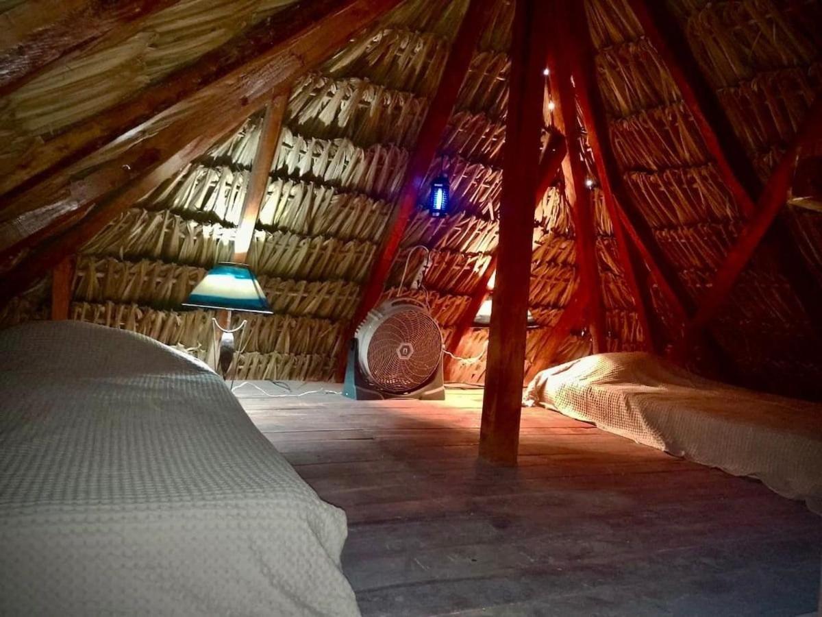 Casa Tropicana 埃尔库约 外观 照片