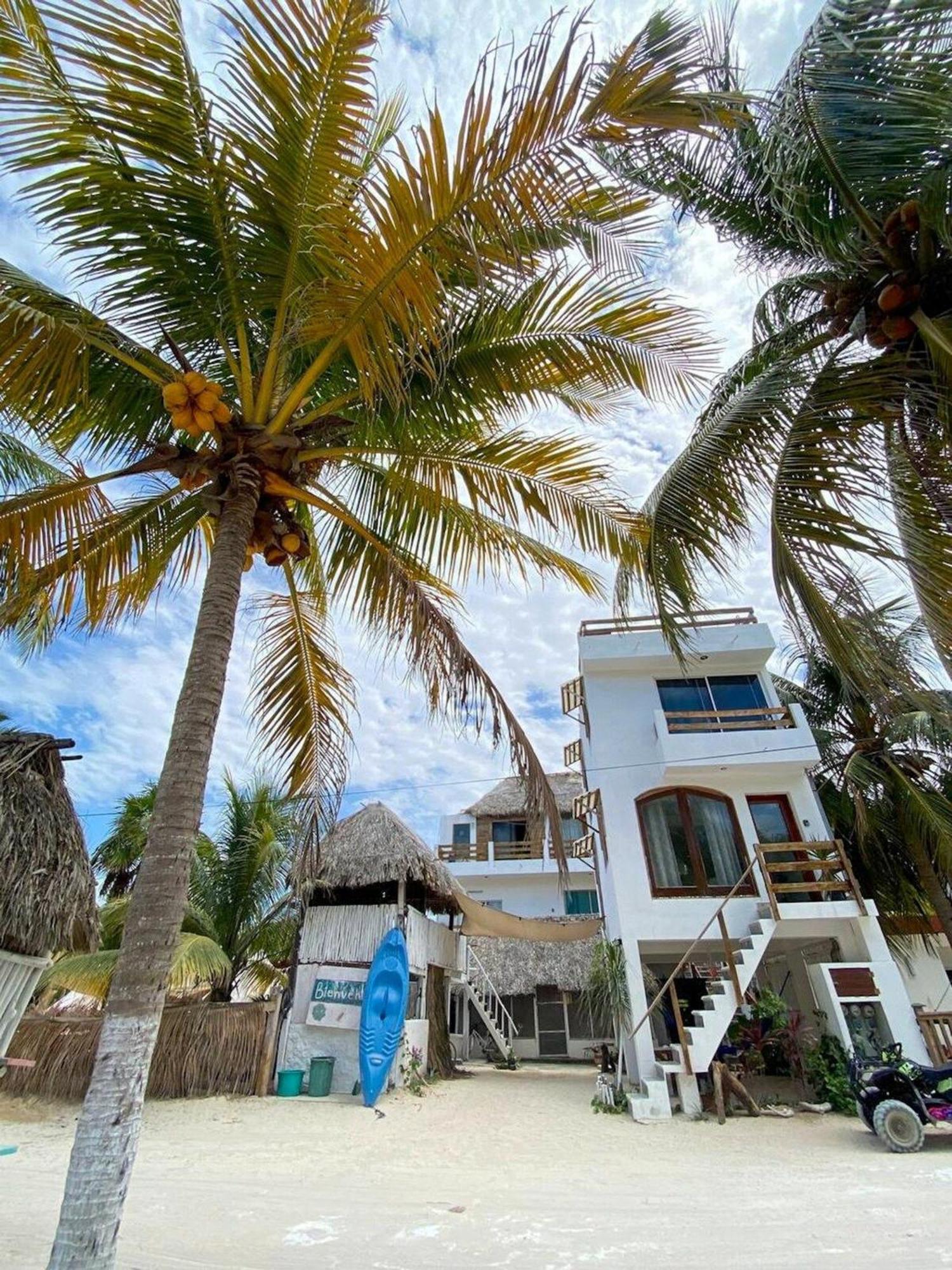Casa Tropicana 埃尔库约 外观 照片